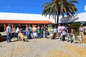 Concurso Regional do Rafeiro do Alentejo de Castro Verde - ACRA
