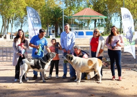 XVIII Concurso Regional do Rafeiro do Alentejo de Borba - ACRA